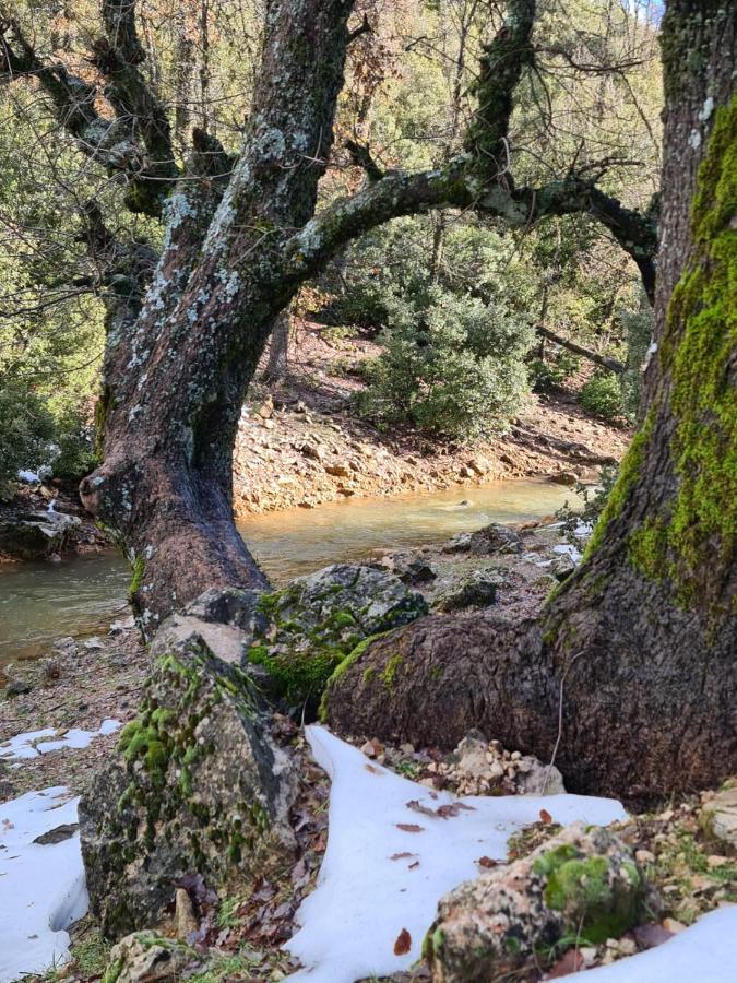 La Pommeraie D'Ifrane Ифран Екстериор снимка
