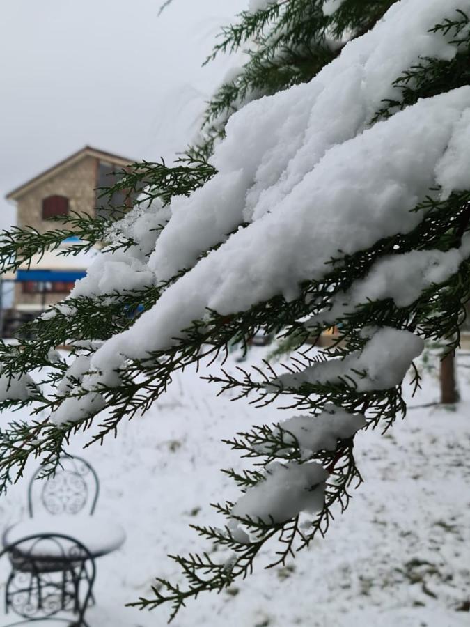 La Pommeraie D'Ifrane Ифран Екстериор снимка
