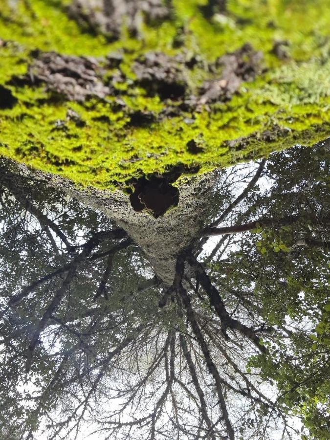 La Pommeraie D'Ifrane Ифран Екстериор снимка