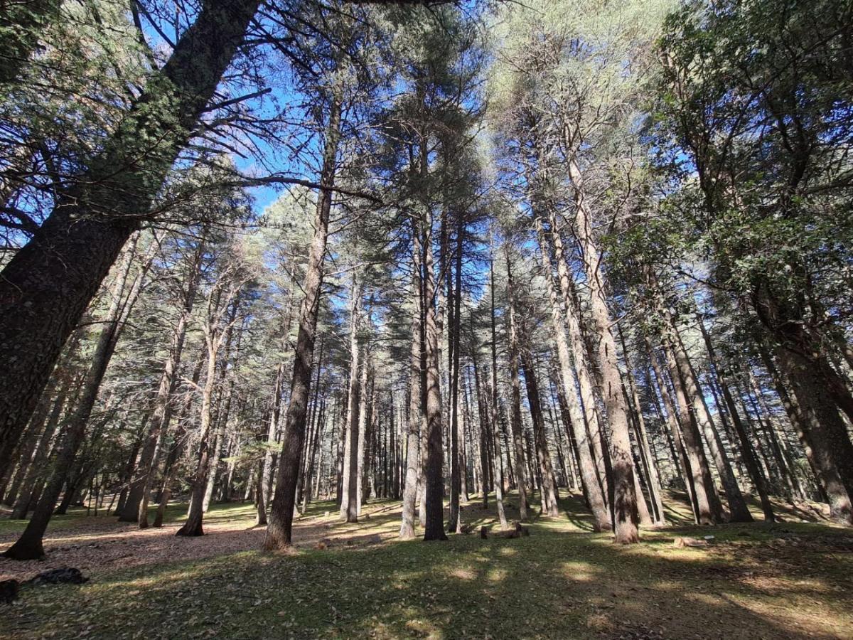 La Pommeraie D'Ifrane Ифран Екстериор снимка