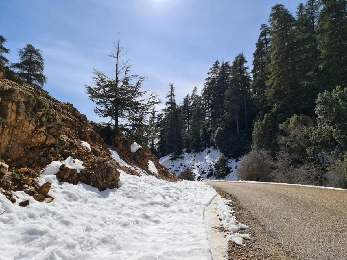 La Pommeraie D'Ifrane Ифран Екстериор снимка