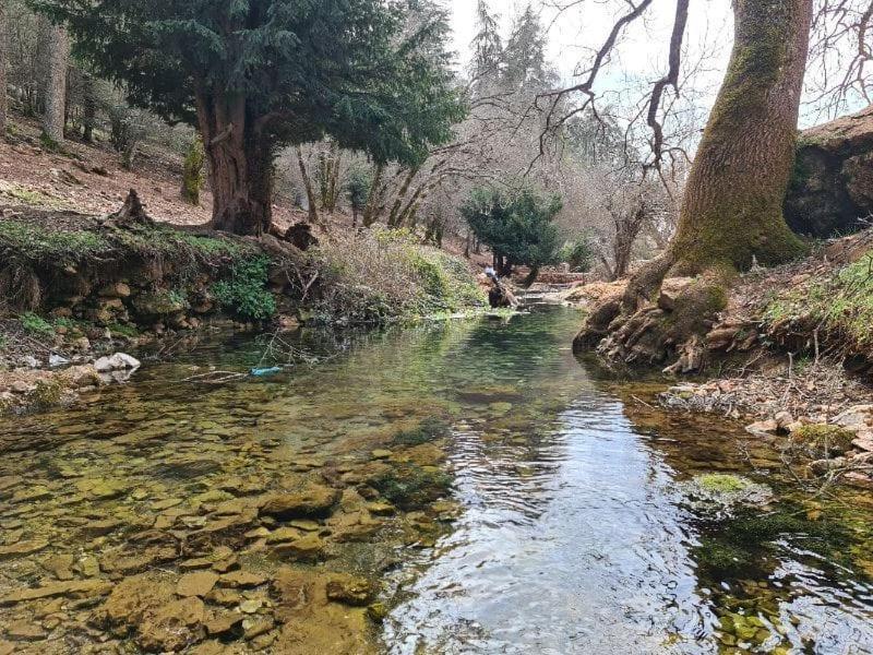La Pommeraie D'Ifrane Ифран Екстериор снимка