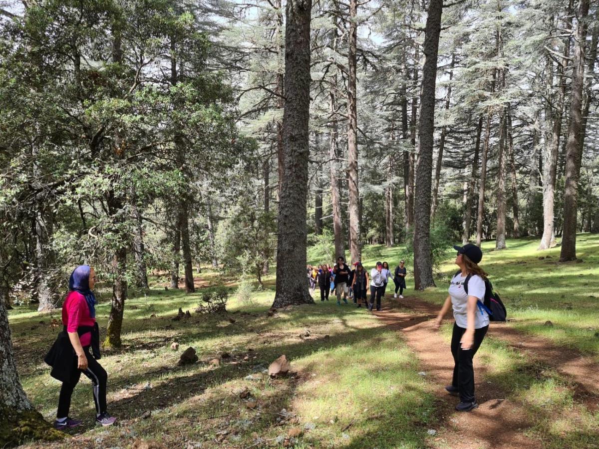 La Pommeraie D'Ifrane Ифран Екстериор снимка