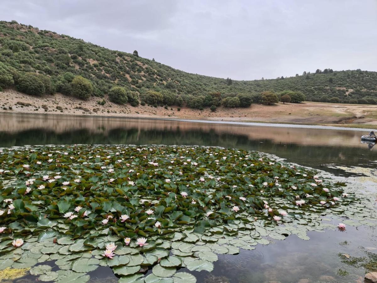 La Pommeraie D'Ifrane Ифран Екстериор снимка