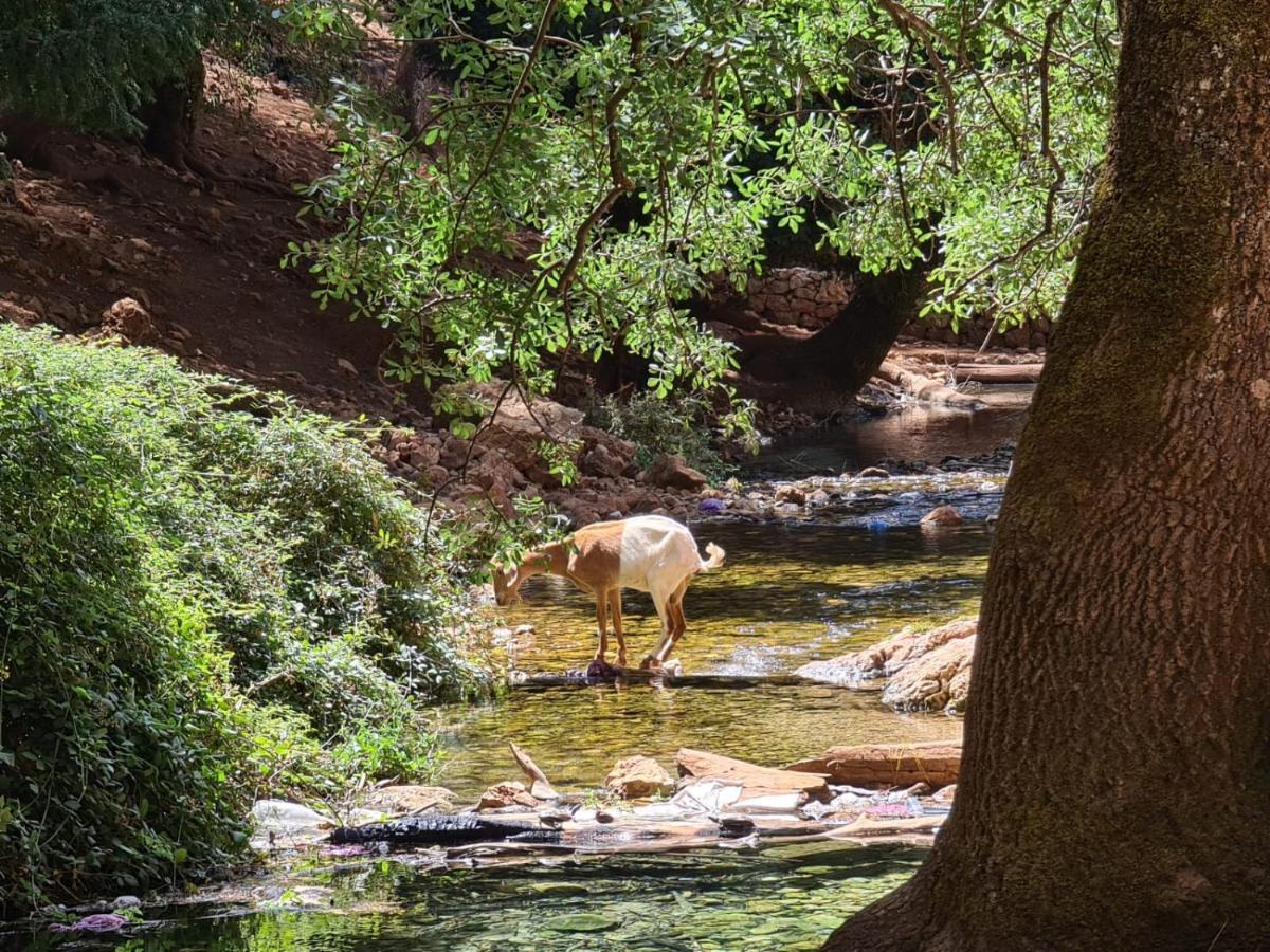 La Pommeraie D'Ifrane Ифран Екстериор снимка
