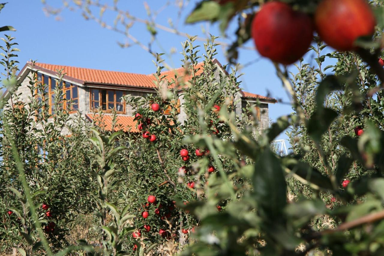 La Pommeraie D'Ifrane Ифран Екстериор снимка